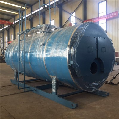 Chaudière à vapeur à gaz à faible teneur en azote